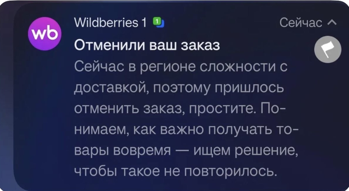 Wildberries начал отменять заказы из-за проблем с топливом в России