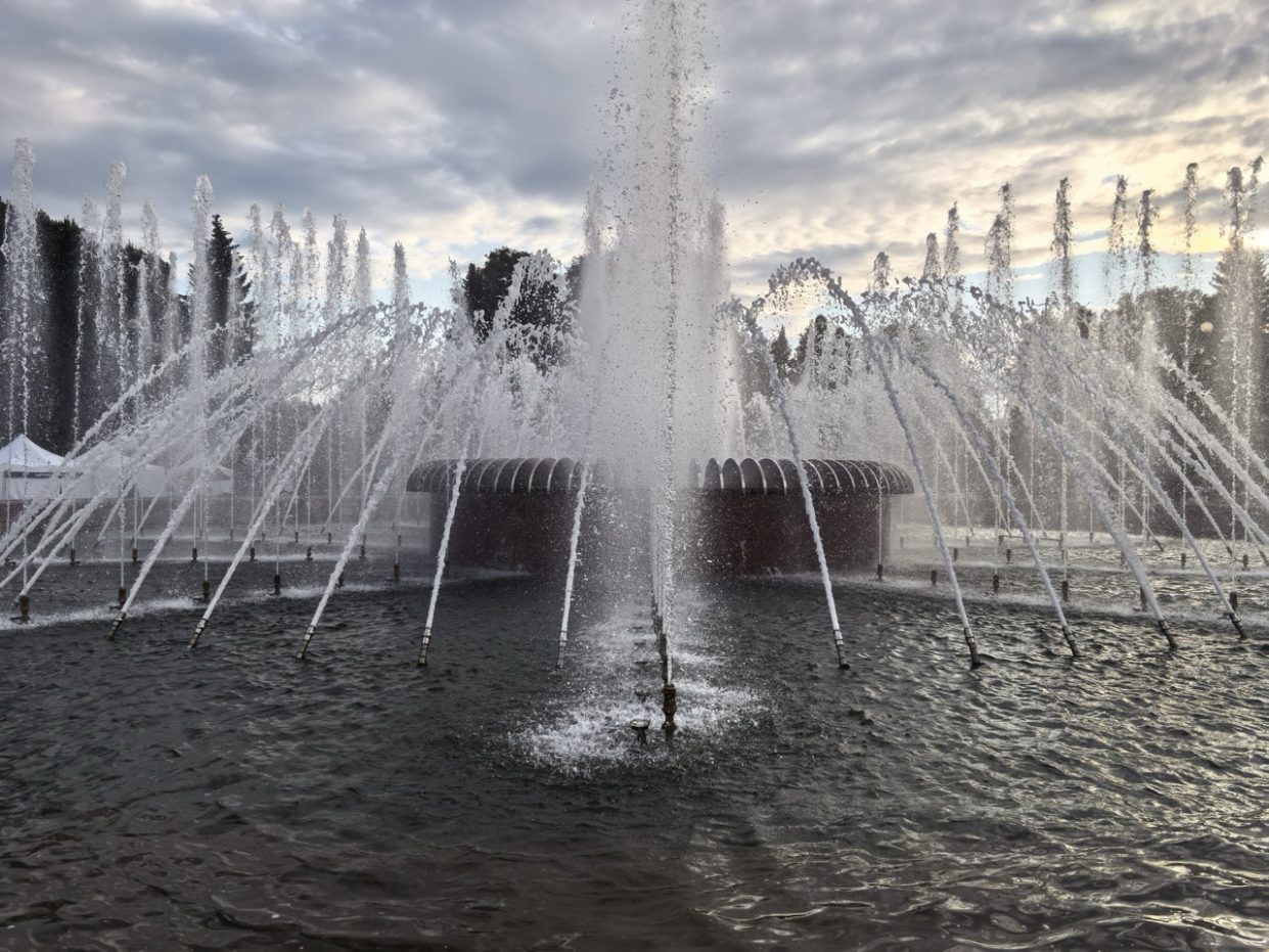 wp-image-1381566