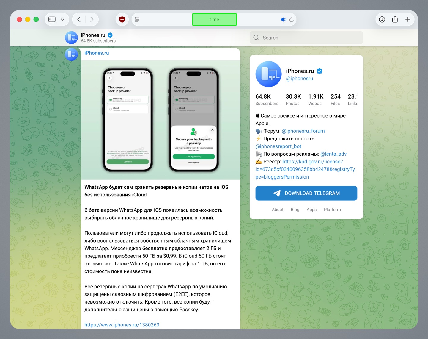 Домен t.me разблокирован. Все короткие ссылки в Telegram снова работают