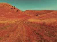 Названы лучшие фото конкурса iPhone Photography Awards. Есть 5 победителей из России
