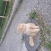 vasilyevsg23 avatar