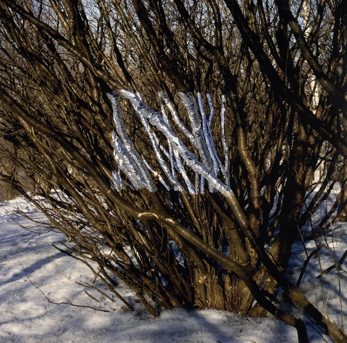 wp-image-1382757