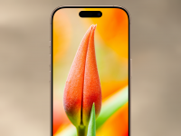 10 просто красивых обоев для iPhone. Забирайте лучшие