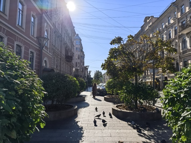 wp-image-1388280