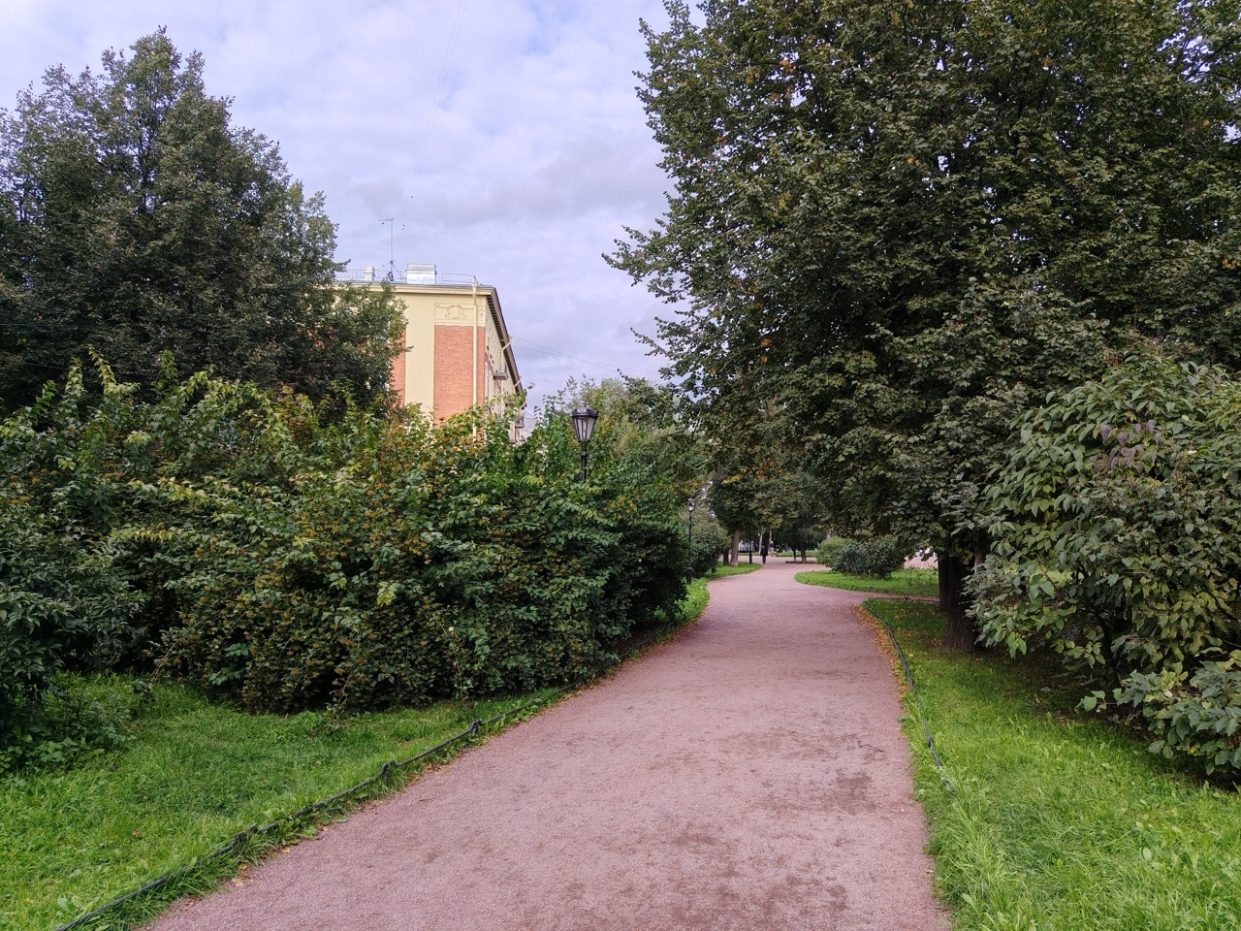 wp-image-1388921