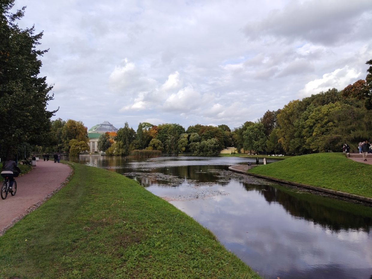 wp-image-1388933