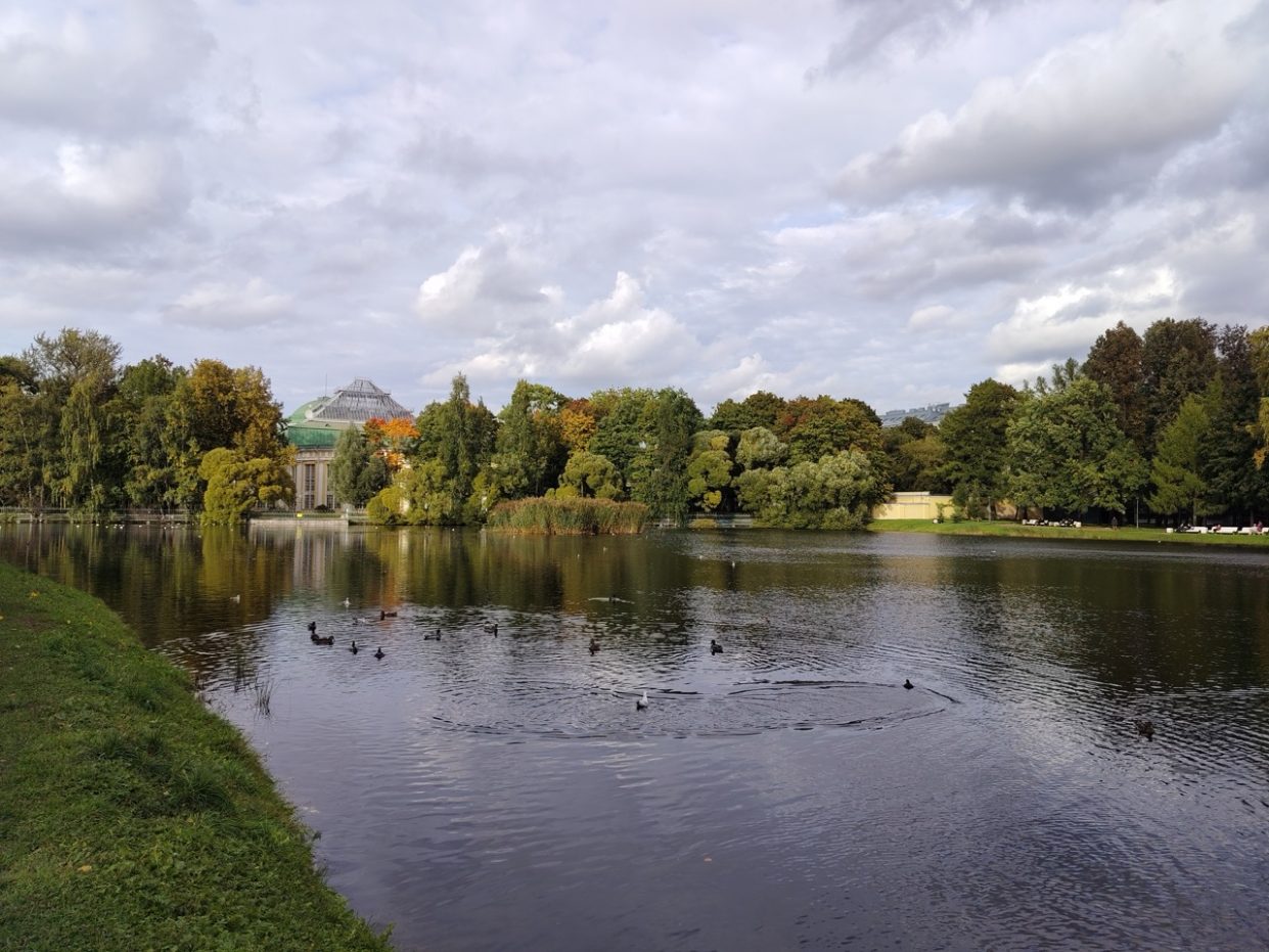 wp-image-1388927