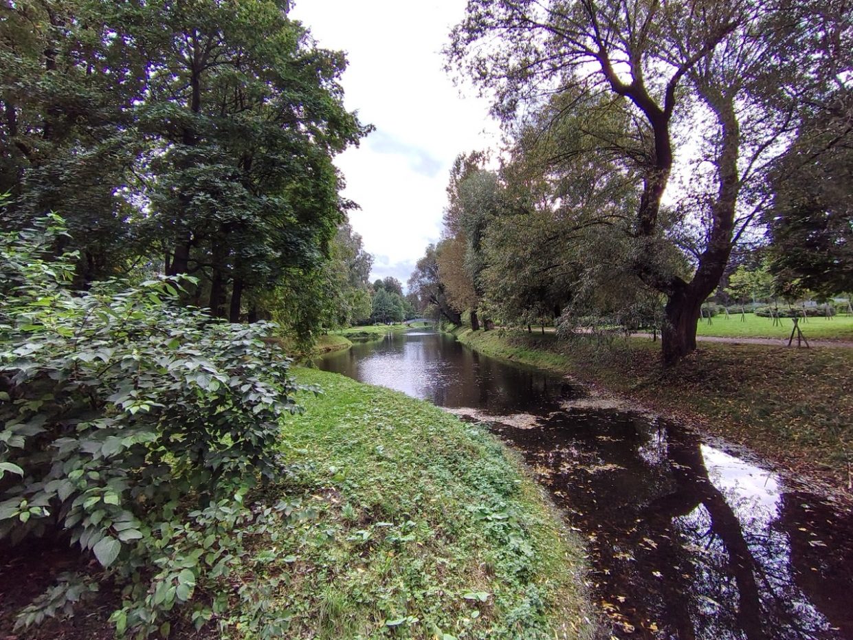 wp-image-1388935