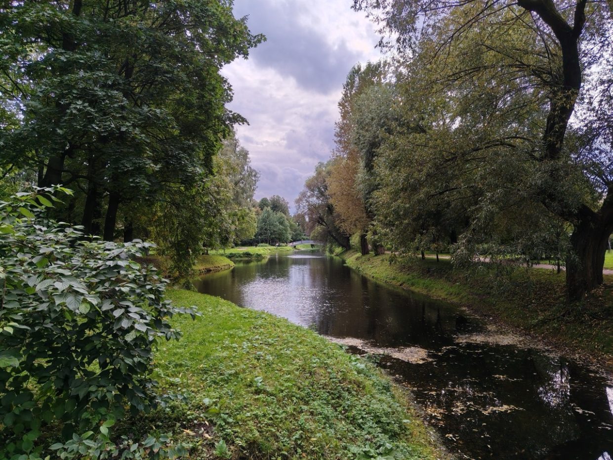 wp-image-1388930